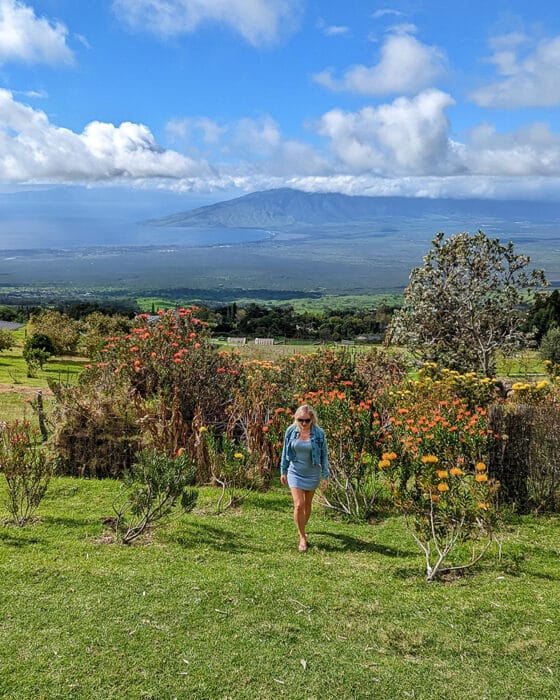Visit the Ali'i Kula Lavender Farm on your five day Maui itinerary