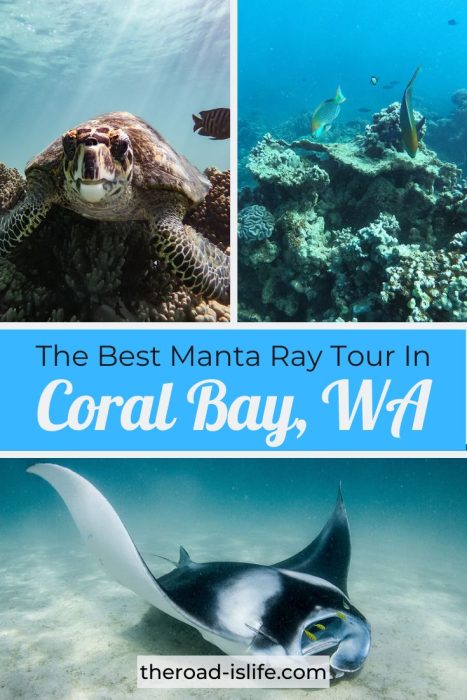 Manta Ray Tour Coral Bay
