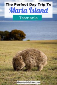 Day Trip to Maria Island - Tasmania