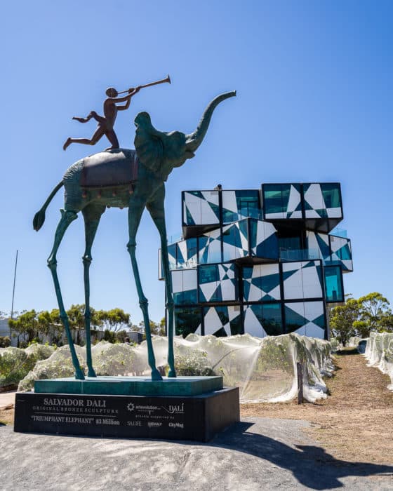 d'arenburg cellar door