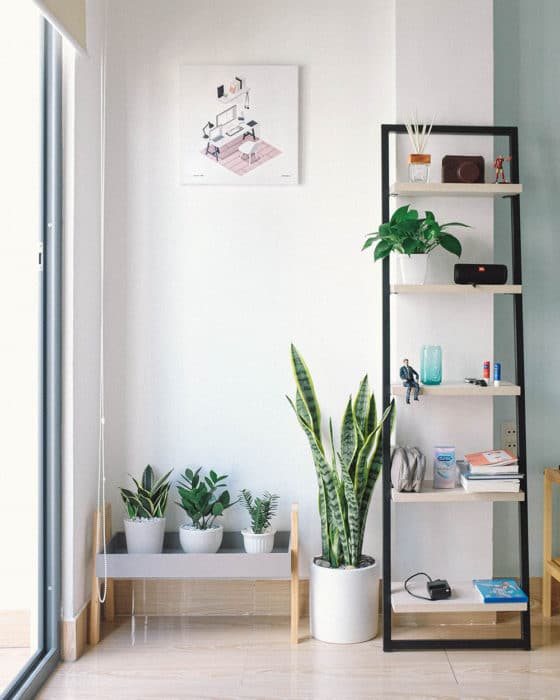 Minimalist Lifestyle Tips