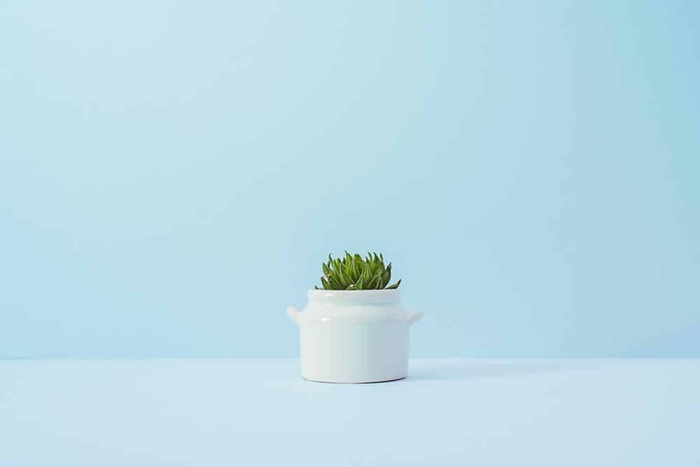 Minimalist Lifestyle Tips – 21 Steps to a Simplified Life