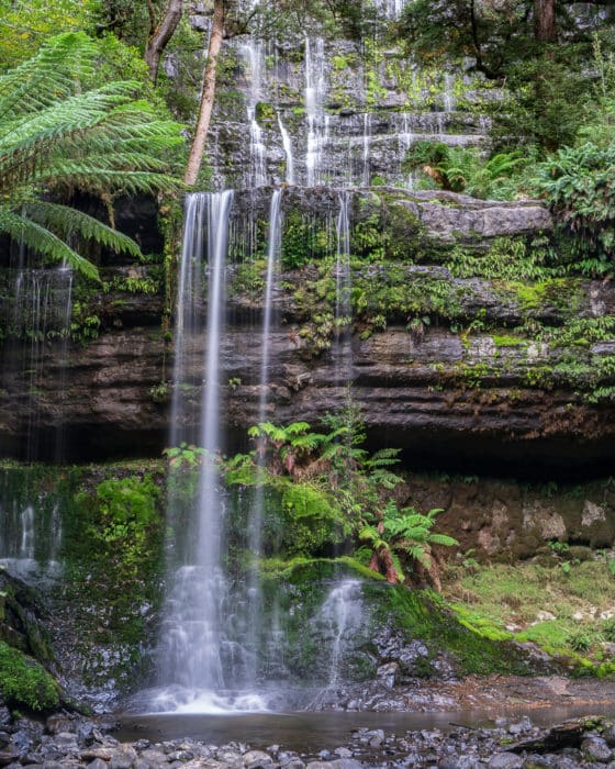 russell falls mount field national park