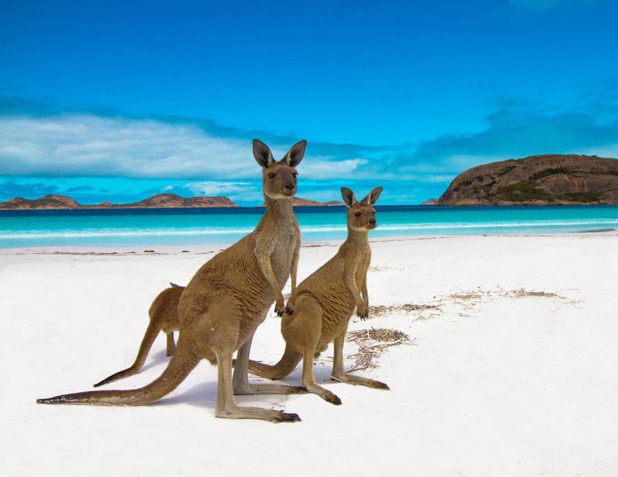 Perth to Esperance Road Trip - The Perfect 11 Day Itinerary