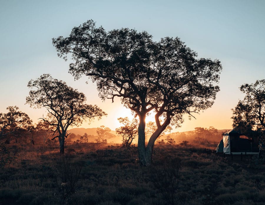 Perth to Exmouth Road Trip