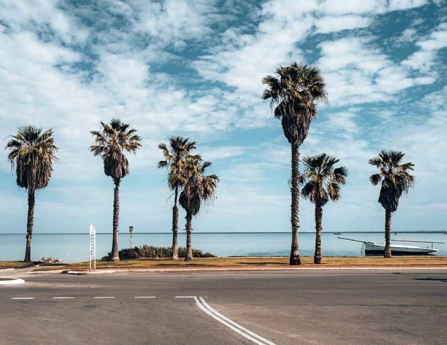 Denham, Perth to Exmouth Road Trip