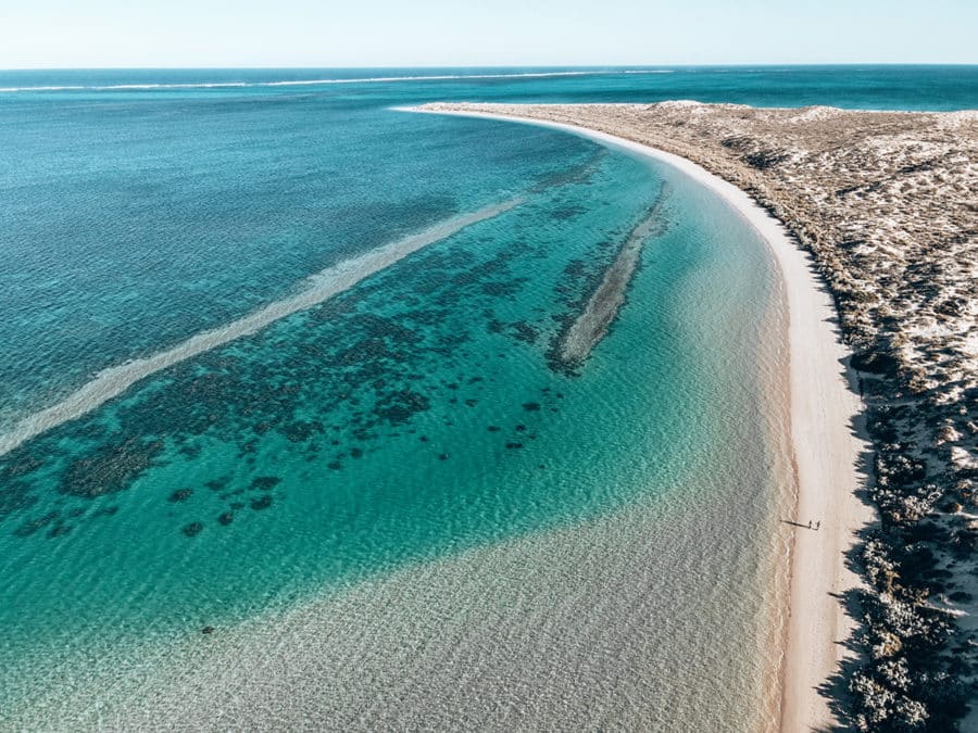 Manta Ray Tour Coral Bay