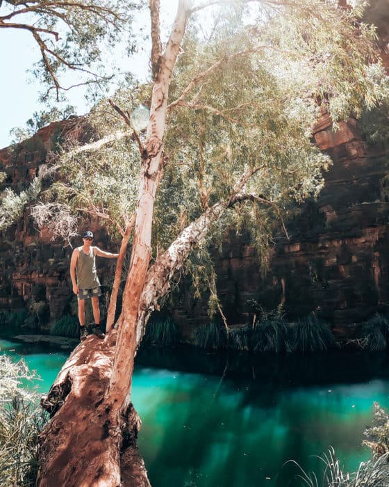 Hiking through the gorges of Karijini National Park