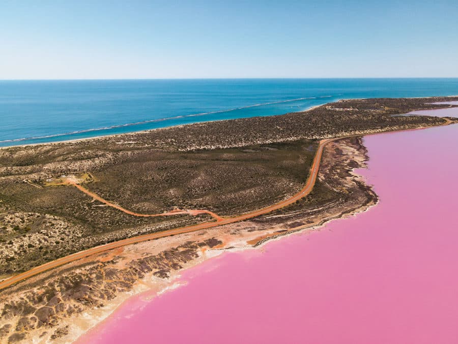 Driving beside the pink lake in Western Australia