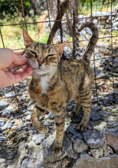 Samaria Gorge hiking trail