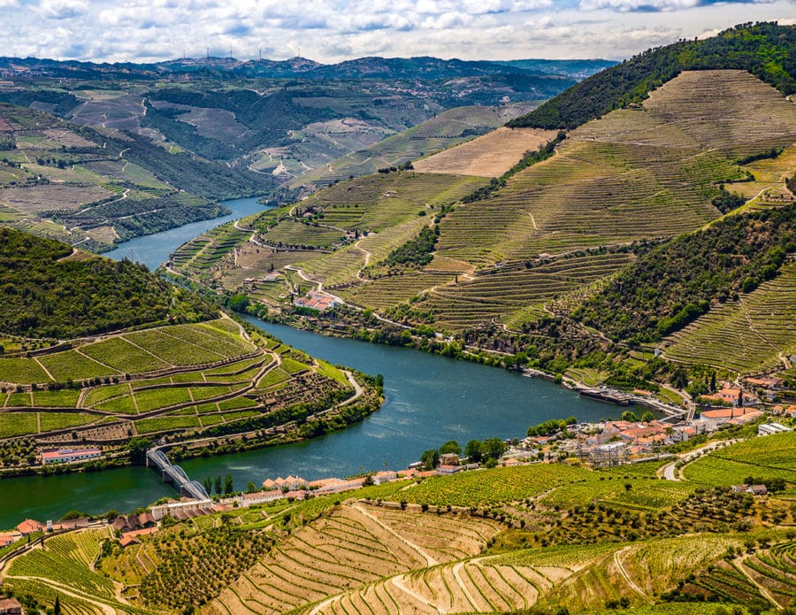 Douro Valley Vineyards