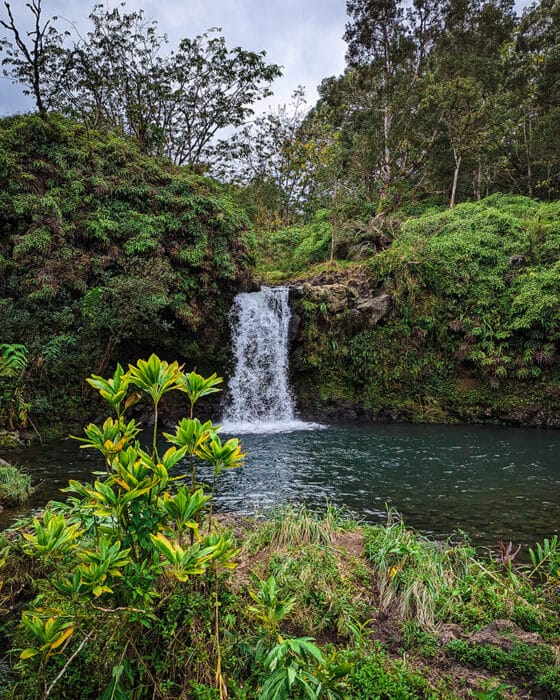 Pua’a Ka’a Falls, Road to Hana Maui