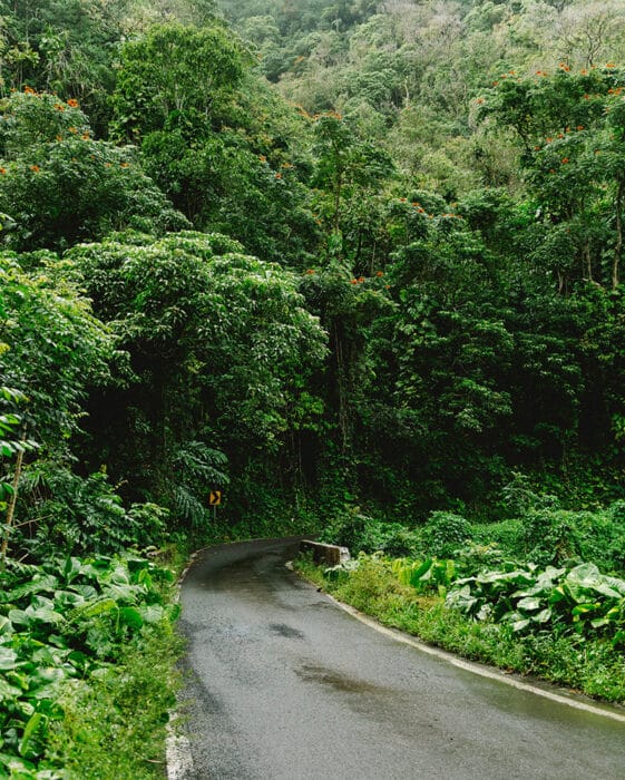 Road to Hana, Maui, Hawaii