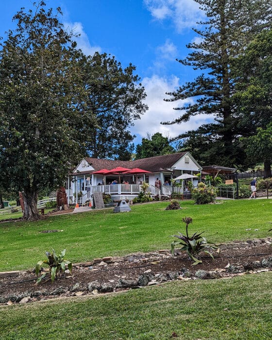 Be sure to visit MauiWine during your five days on Maui