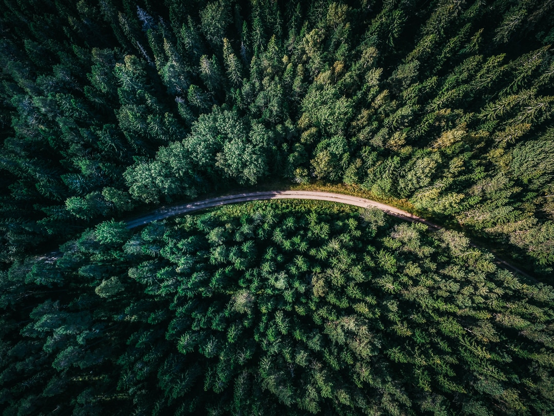 Road Trip Quotes – 67 Hand Picked Quotes to Inspire Adventure