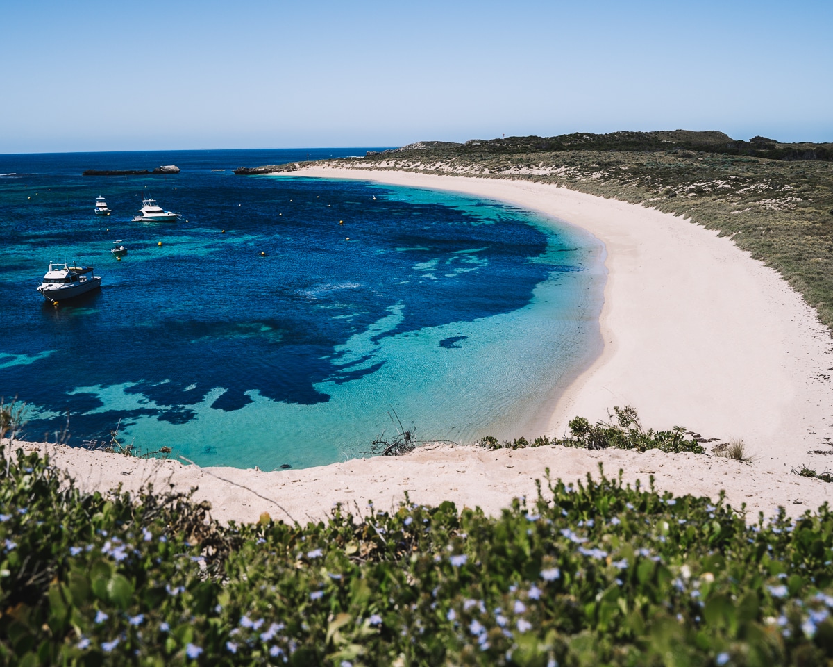 Day Trip to Rottnest Island from Perth – The Perfect One Day Itinerary