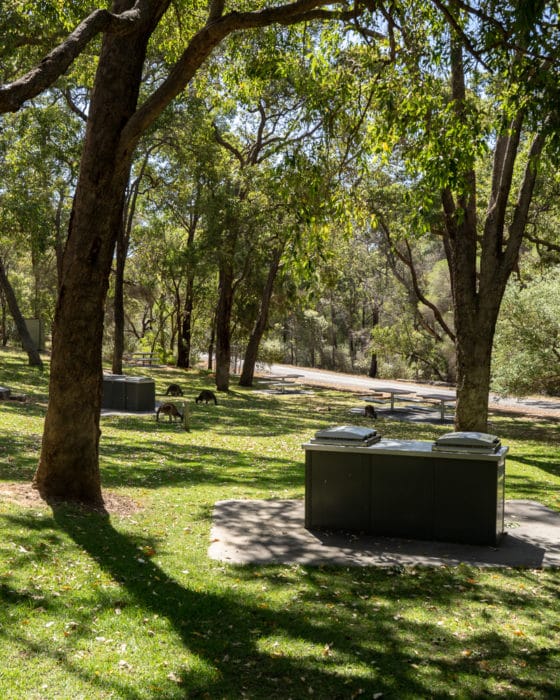 picnic spots perth - serpentine falls