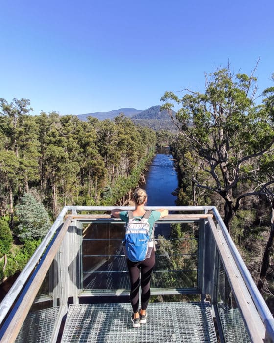 day trips from hobart - tahune airwalk