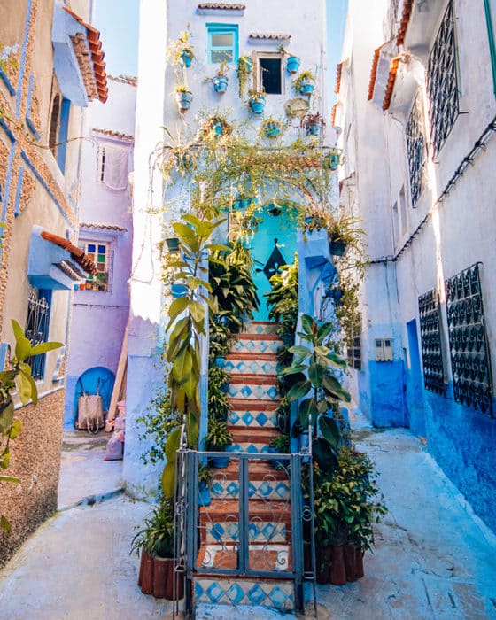 The prettiest little staircase of Chefchaouen