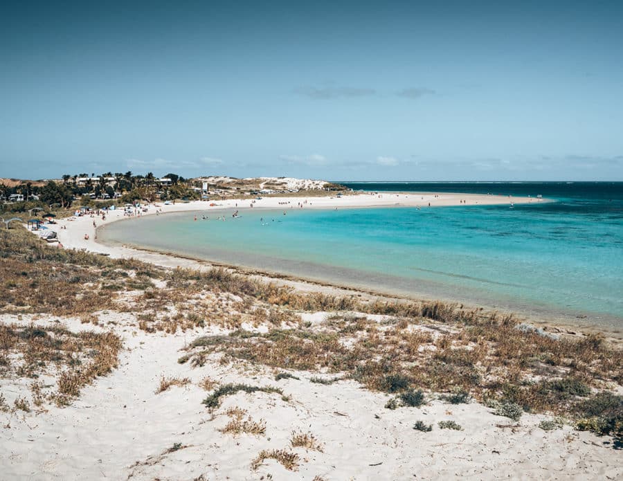 The Best Coral Bay Manta Ray Tour