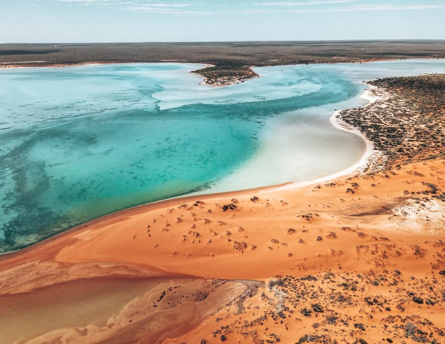 Things to do in Shark Bay