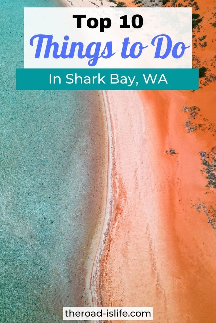 Discover the top 10 things to do in Shark Bay, WA!