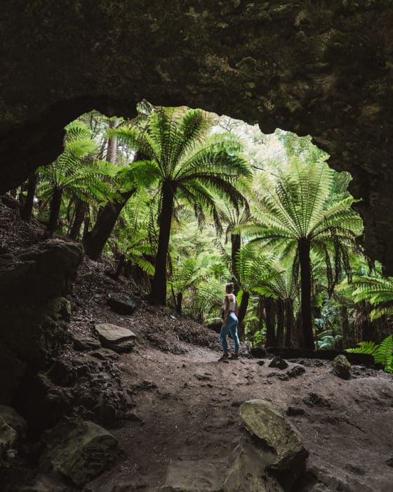 trowutta arch, tarkine drive
