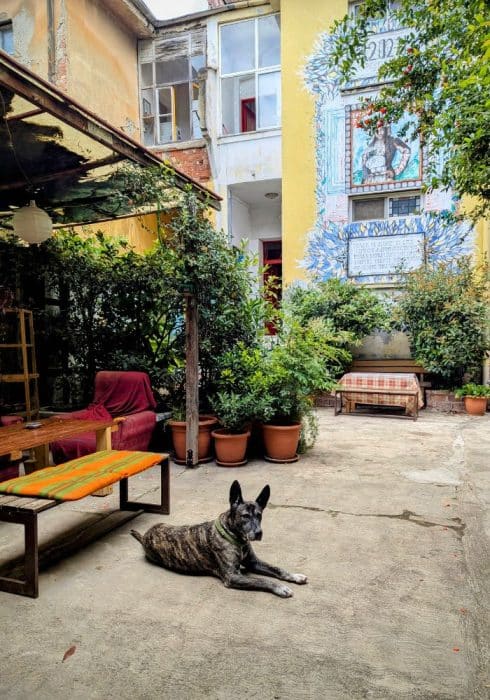 Tirana Backpacker Hostel