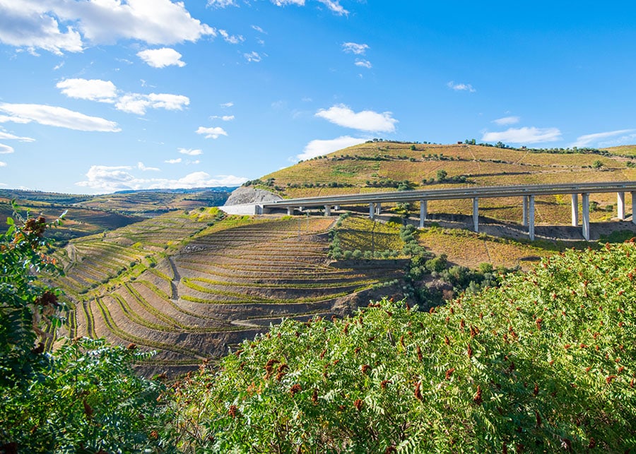 Beautiful terraced vineyards of the Douro Valley