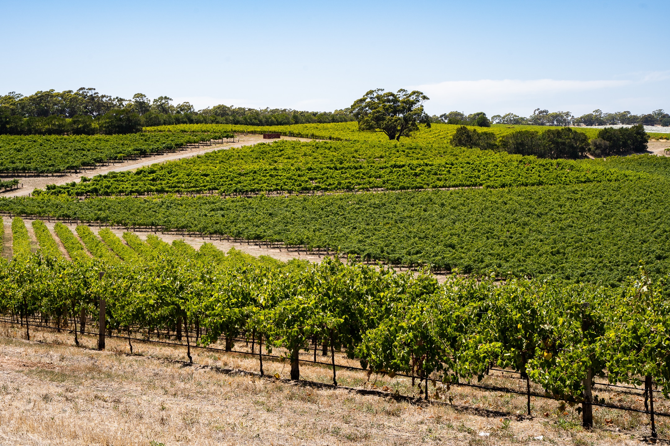 10 Amazing Weekend Getaways From Adelaide