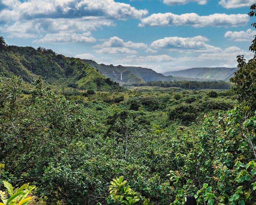 Wailua Valley Lookout, Road to Hana