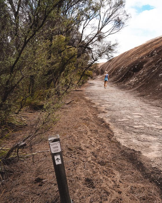 Perth to Wave Rock Road Trip