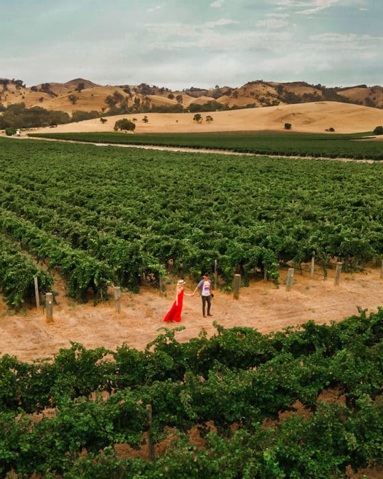Weekend Getaways from Adelaide - Barossa Valley