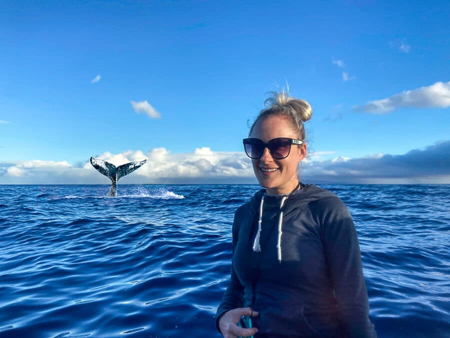 Whale watching in Lahaina, Maui