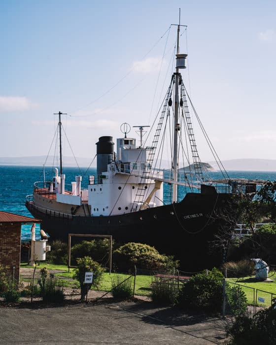 Explore the historic whaling station of Albany WA