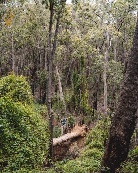 Best hiking trails in Perth