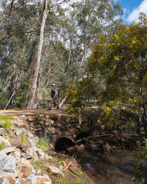 Wungong Gorge, Perth Hikes