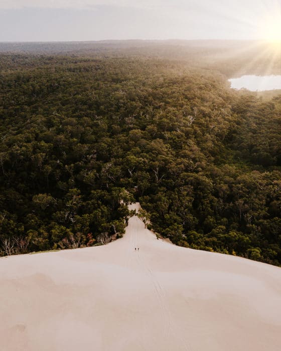 Yeagarup Dunes, Pemberton Western Australia