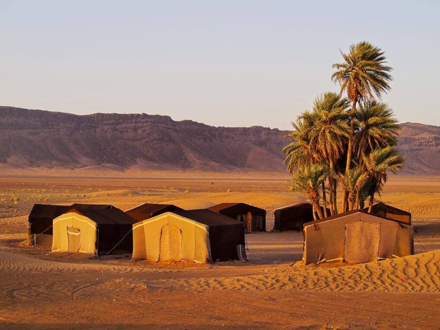 Zagora desert camp - Morocco